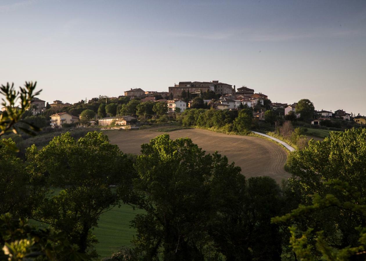 Grande Villa Storica Per Vacanze Con Giardino Privato E Piscina Ostra Kültér fotó