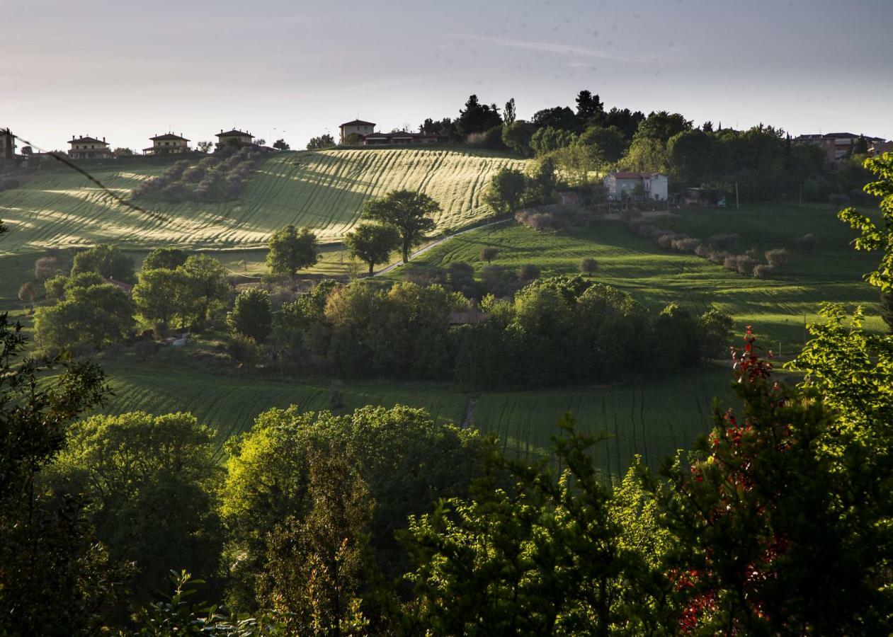 Grande Villa Storica Per Vacanze Con Giardino Privato E Piscina Ostra Kültér fotó