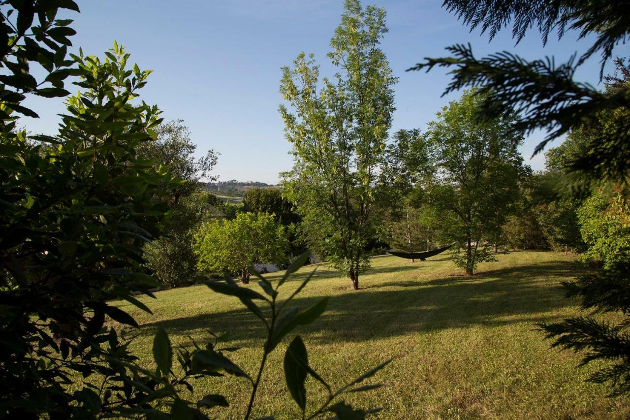Grande Villa Storica Per Vacanze Con Giardino Privato E Piscina Ostra Kültér fotó