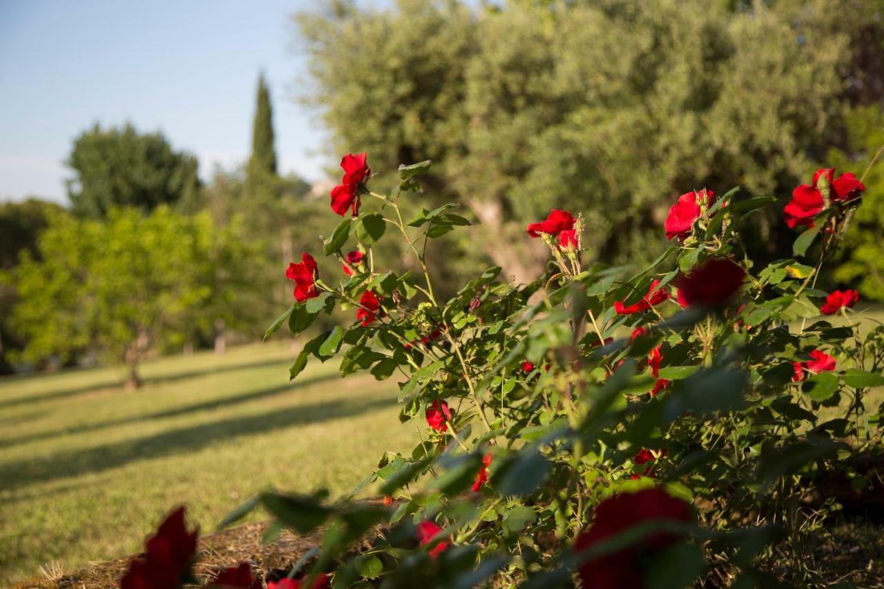 Grande Villa Storica Per Vacanze Con Giardino Privato E Piscina Ostra Kültér fotó
